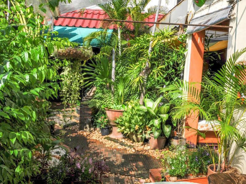 All In 1 Guesthouse Chiang Mai Exterior foto
